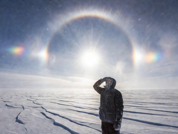 Observer shading eyes while looking at a bright 22-degree ice halo and sundog over wind-packed snow